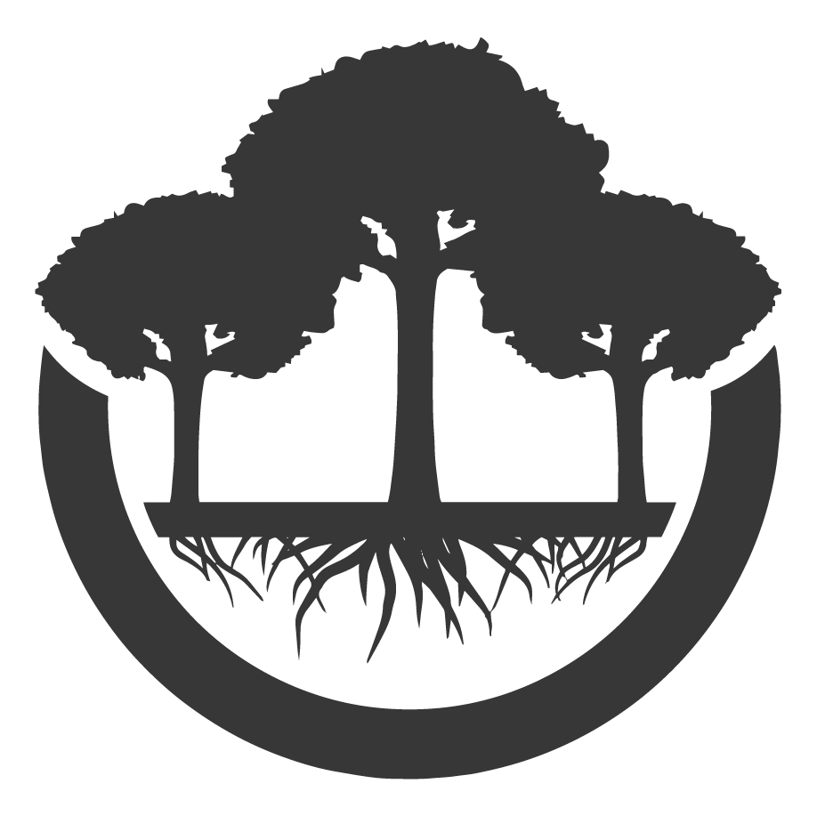 The HadaNõu Collective logo mark